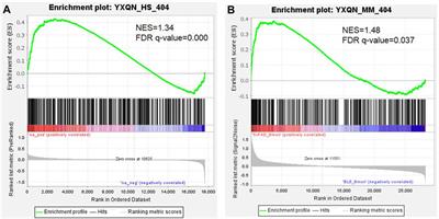 Exploring the mechanism of YangXue QingNao Wan based on network pharmacology in the treatment of Alzheimer’s disease
